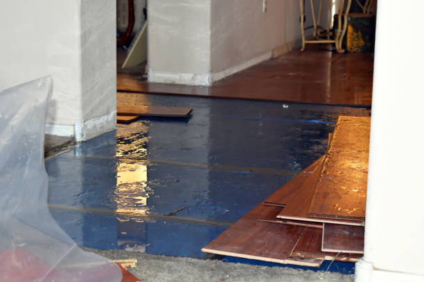 Professional Burst Pipe Cleanup technician working in Palacios, TX